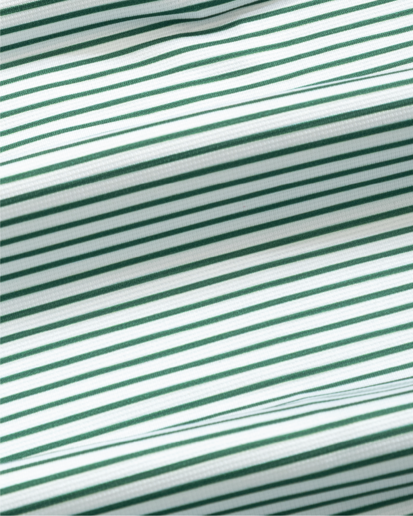 Tropic Polo - White and Green Stripes